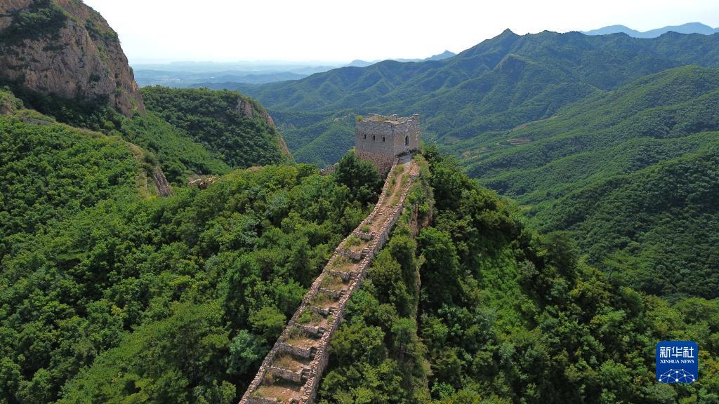 水果机九莲宝灯大满贯下载